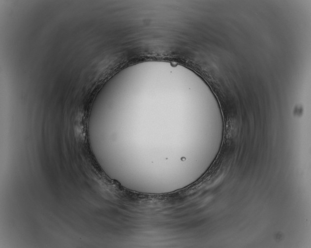 X0000101701202200807241424