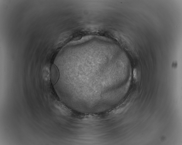 X0000101701203200807241424