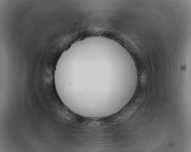 X0000101701204200807241424