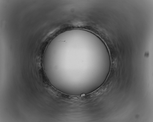 X0000101701205200807241424