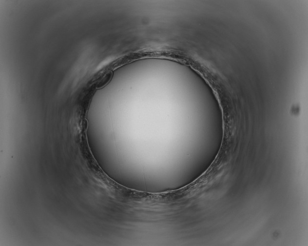 X0000101701206200807241424