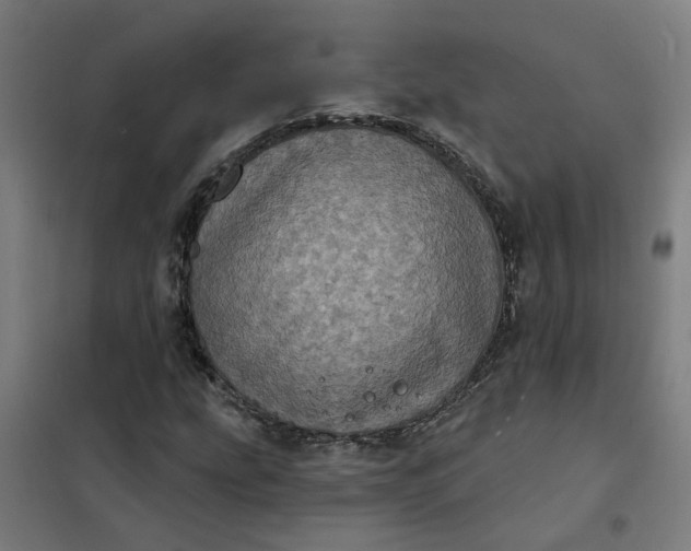 X0000101701207200807241424