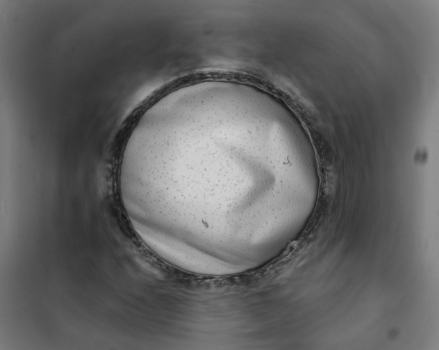 X0000101701208200807241424