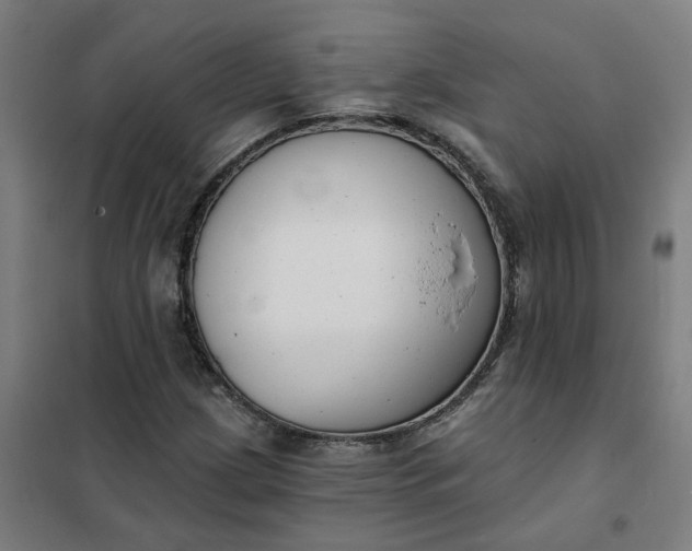 X0000101701209200807241424