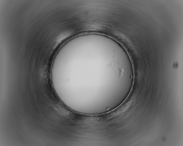 X0000101701210200807241424