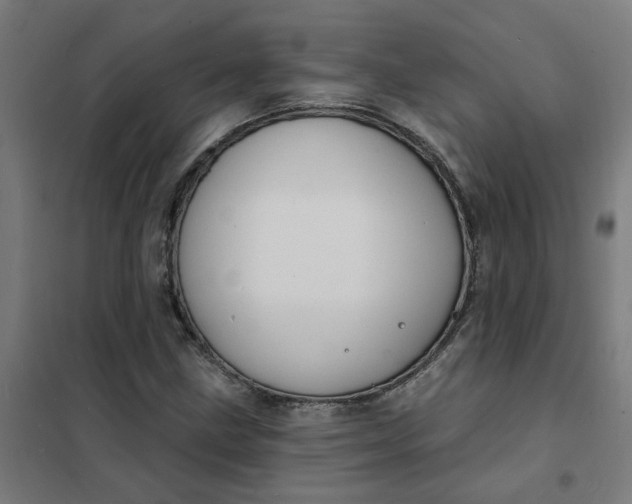 X0000101701211200807241424