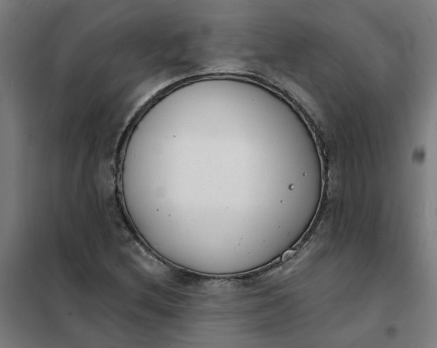 X0000101701212200807241424