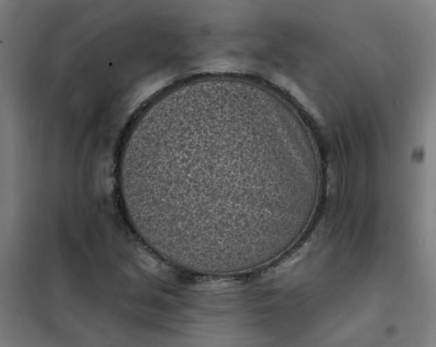 X0000101701213200807241424