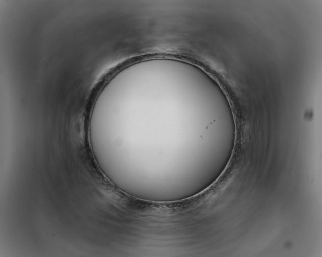 X0000101701214200807241424