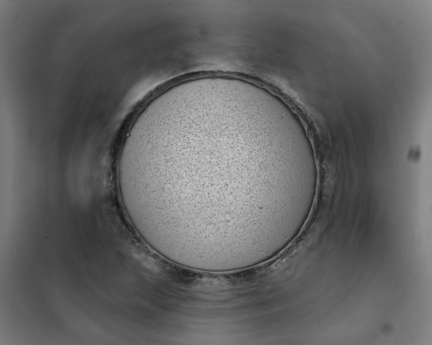 X0000101701215200807241424