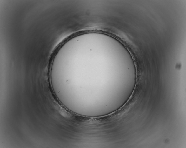 X0000101701216200807241424