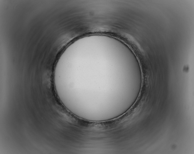 X0000101701217200807241424