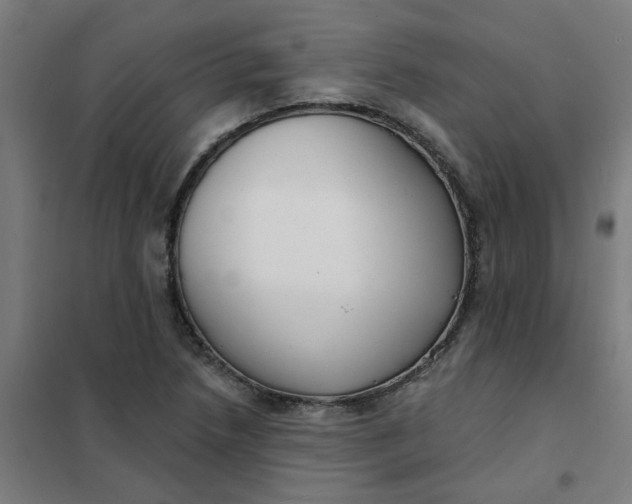 X0000101701218200807241424