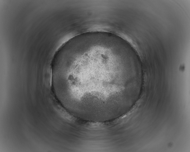 X0000101701219200807241424