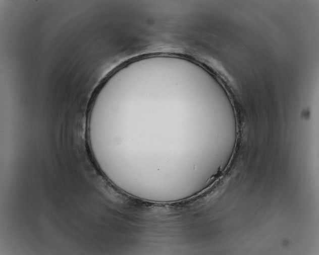 X0000101701220200807241424