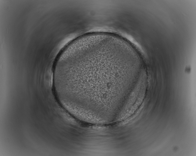 X0000101701221200807241424