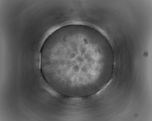 X0000101701223200807241424