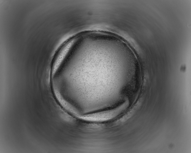 X0000101701224200807241424