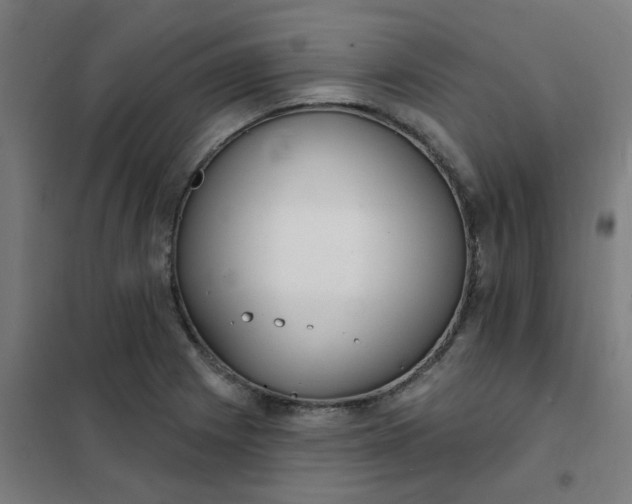 X0000101701225200807241424