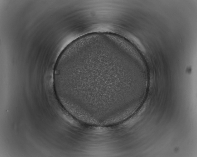 X0000101701226200807241424