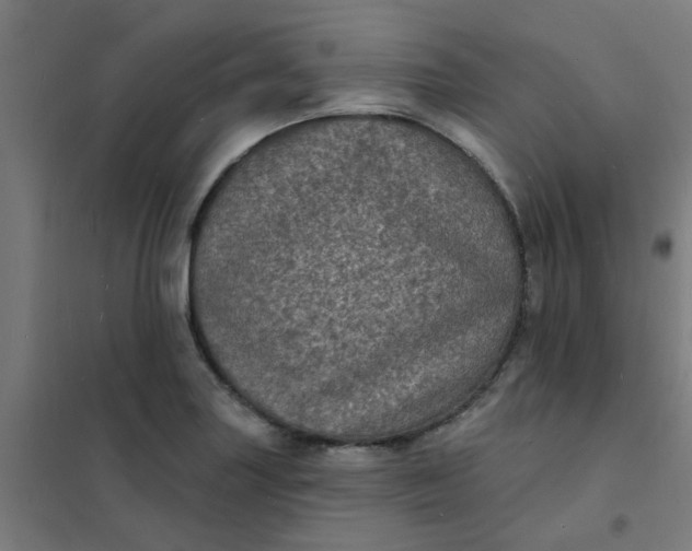 X0000101701227200807241424