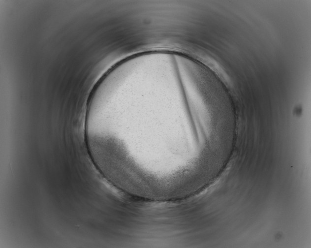 X0000101701228200807241424