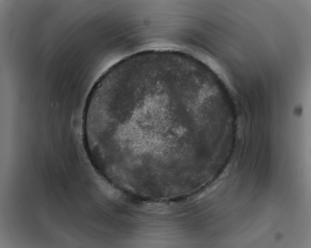 X0000101701229200807241424