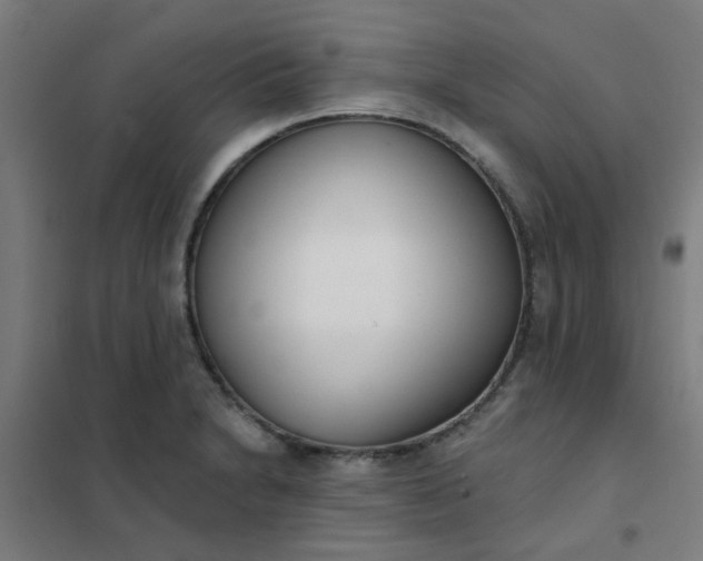 X0000101701230200807241424