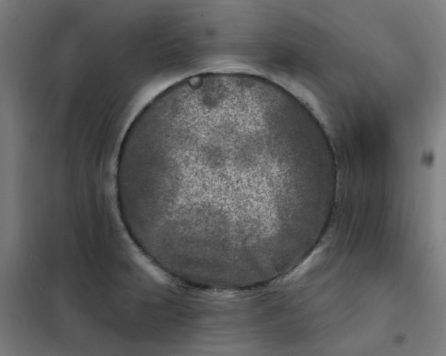 X0000101701231200807241424