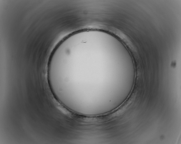 X0000101701232200807241424