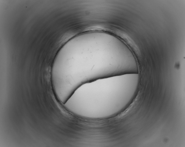 X0000101701233200807241424