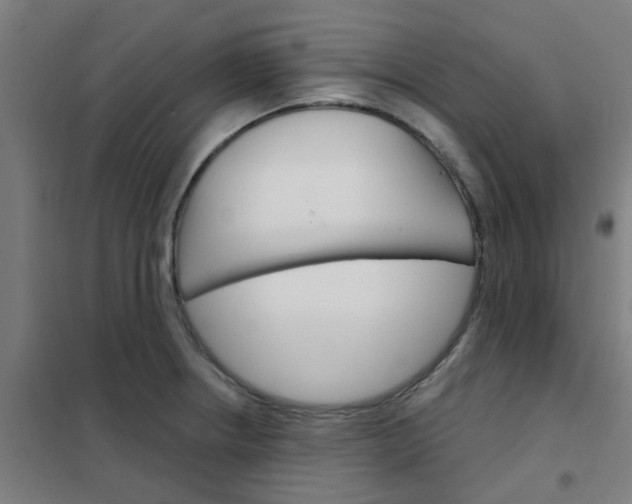 X0000101701234200807241424