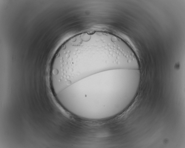 X0000101701235200807241424