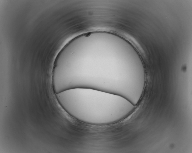 X0000101701236200807241424