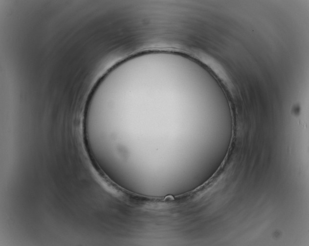 X0000101701237200807241424