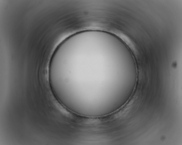 X0000101701238200807241424