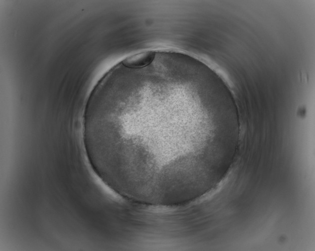 X0000101701239200807241424