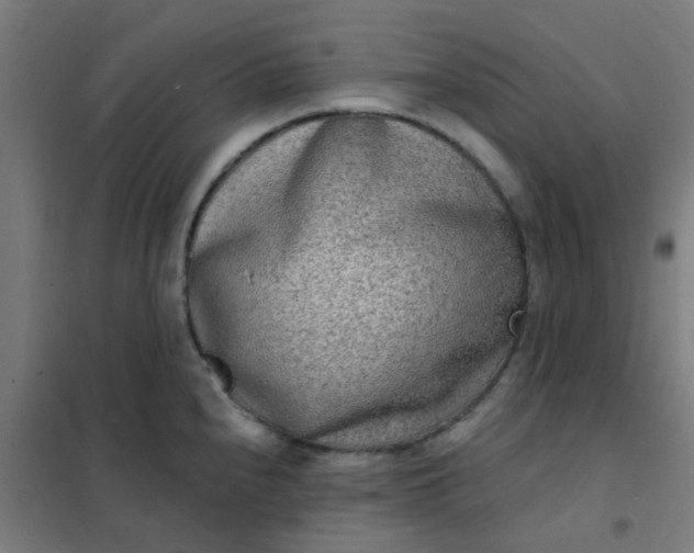 X0000101701240200807241424