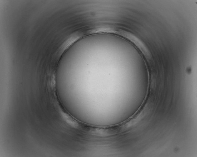 X0000101701241200807241424