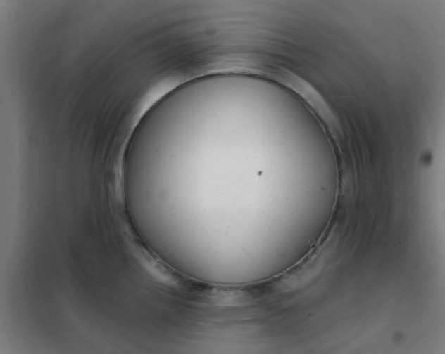 X0000101701242200807241424