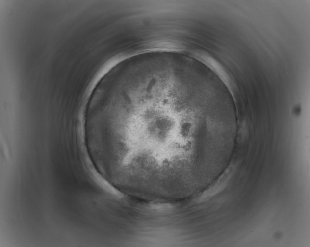 X0000101701243200807241424