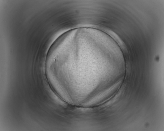 X0000101701244200807241424