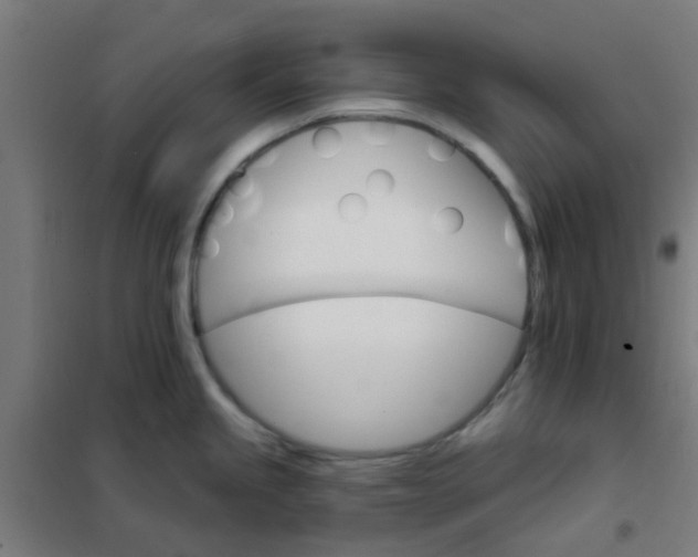 X0000101701245200807241424