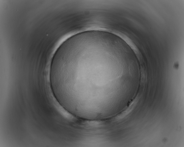 X0000101701246200807241424