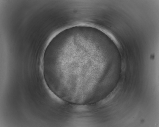 X0000101701247200807241424