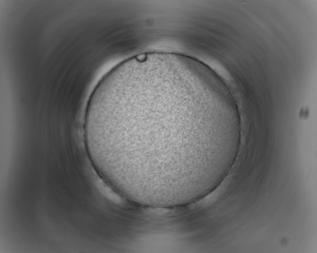 X0000101701248200807241424