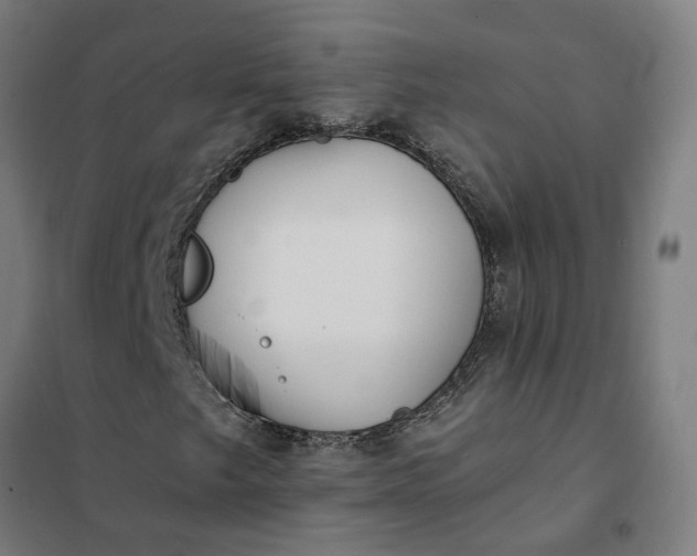 X0000101701249200807241424