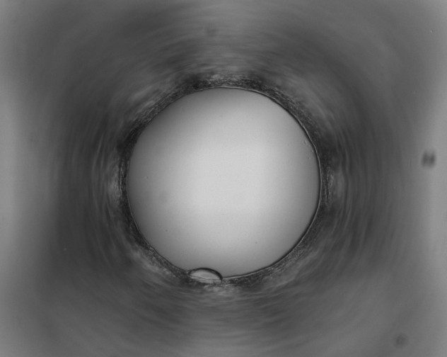 X0000101701250200807241424