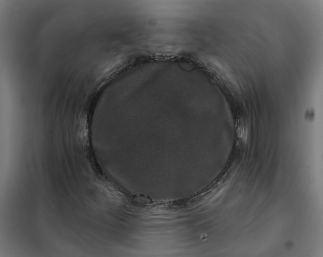 X0000101701252200807241424