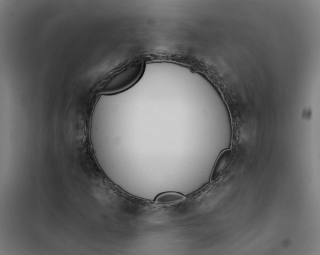 X0000101701253200807241424